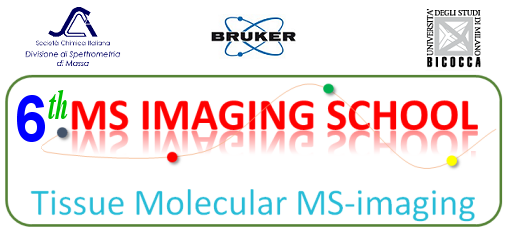 6 MS Imaging school
